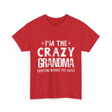 I'm The Crazy Grandma Everyone Warned You About Mother Day T-Shirt